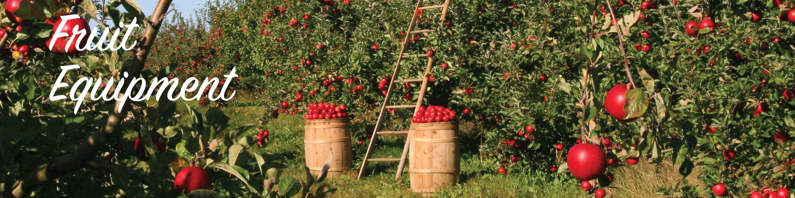 Fruit Equipment