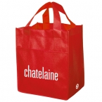 Promotional Non Woven Carry All Bag